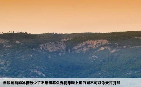 自酿葡萄酒冰糖放少了不够甜怎么办我昨晚上泡的可不可以今天打开加