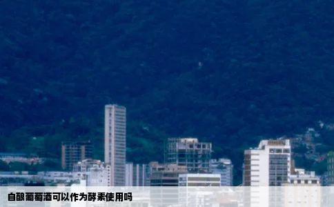 自酿葡萄酒可以作为酵素使用吗