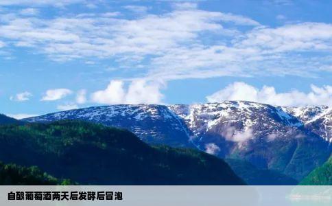 自酿葡萄酒两天后发酵后冒泡