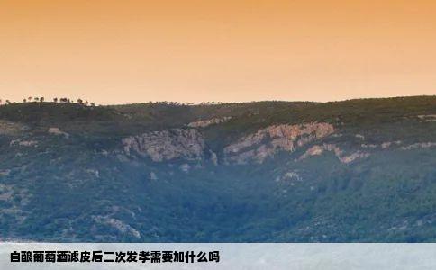 自酿葡萄酒滤皮后二次发孝需要加什么吗
