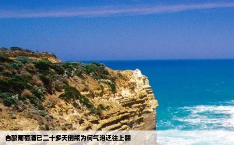 自酿葡萄酒已二十多天倒瓶为何气泡还往上翻