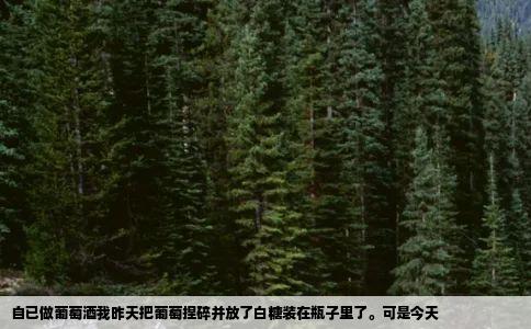 自已做葡萄酒我昨天把葡萄捏碎并放了白糖装在瓶子里了可是今天