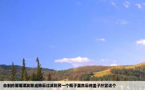 自制的葡萄酒发酵成熟后过滤到另一个瓶子里然后将盖子拧紧这个