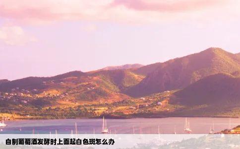 自制葡萄酒发酵时上面起白色斑怎么办