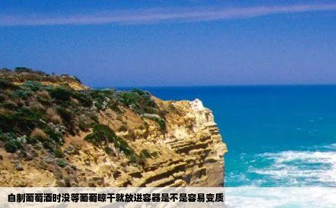 自制葡萄酒时没等葡萄晾干就放进容器是不是容易变质