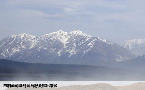 自制葡萄酒时葡萄籽要挑出来么