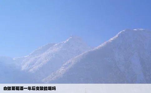 自做葡萄酒一年后变酸能喝吗