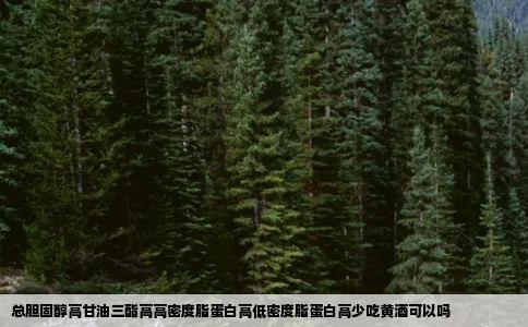 总胆固醇高甘油三酯高高密度脂蛋白高低密度脂蛋白高少吃黄酒可以吗