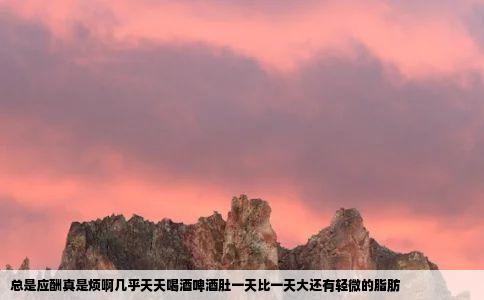 总是应酬真是烦啊几乎天天喝酒啤酒肚一天比一天大还有轻微的脂肪