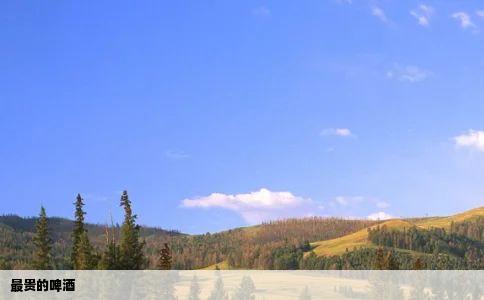 最贵的啤酒