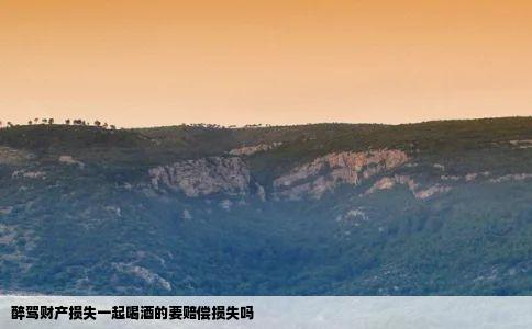 醉驾财产损失一起喝酒的要赔偿损失吗