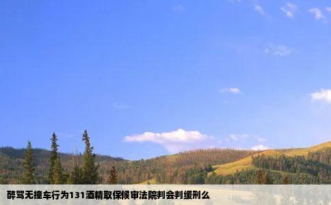 醉驾无撞车行为131酒精取保候审法院判会判缓刑么