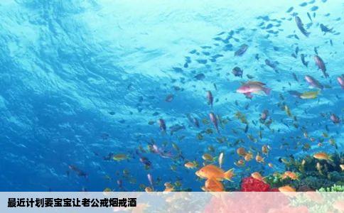 最近计划要宝宝让老公戒烟戒酒