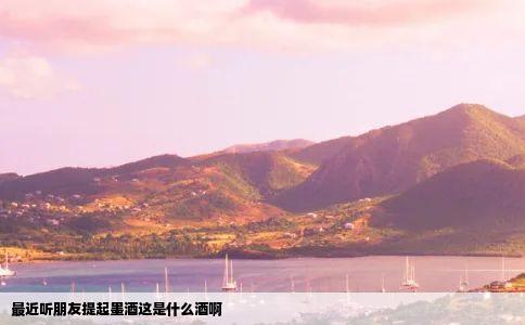 最近听朋友提起墨酒这是什么酒啊