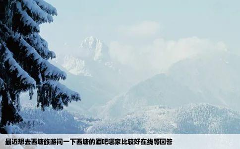 最近想去西塘旅游问一下西塘的酒吧哪家比较好在线等回答