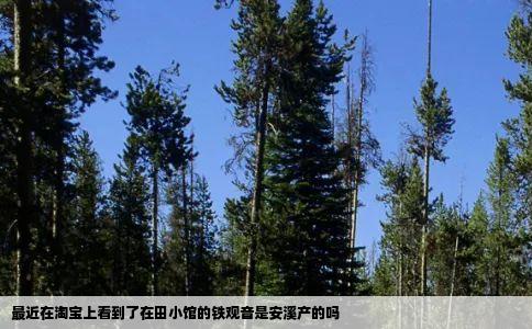 最近在淘宝上看到了在田小馆的铁观音是安溪产的吗