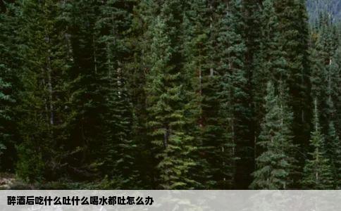 醉酒后吃什么吐什么喝水都吐怎么办