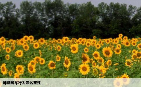 醉酒驾车行为怎么定性