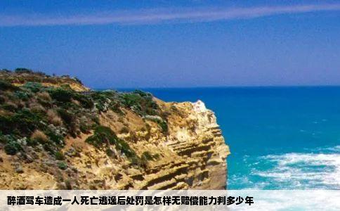 醉酒驾车造成一人死亡逃逸后处罚是怎样无赔偿能力判多少年