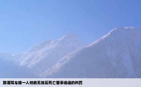 醉酒驾车撞一人抢救无效后死亡肇事逃逸的判罚