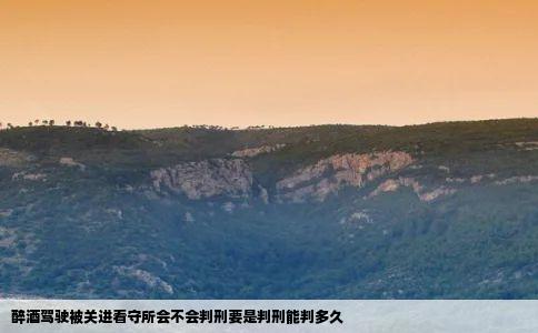 醉酒驾驶被关进看守所会不会判刑要是判刑能判多久