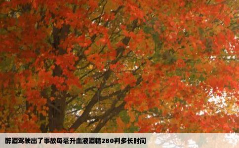 醉酒驾驶出了事故每毫升血液酒精280判多长时间