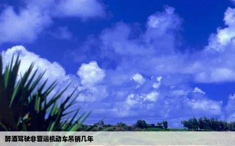 醉酒驾驶非营运机动车吊销几年