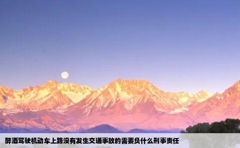 醉酒驾驶机动车上路没有发生交通事故的需要负什么刑事责任