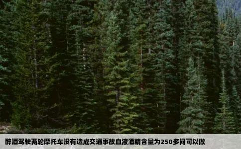 醉酒驾驶两轮摩托车没有造成交通事故血液酒精含量为250多问可以做