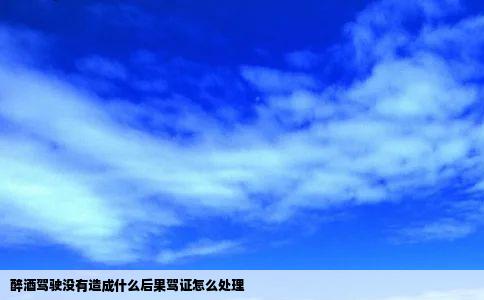 醉酒驾驶没有造成什么后果驾证怎么处理