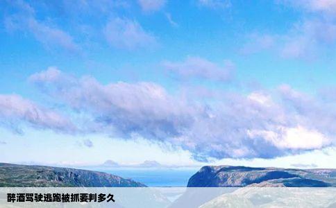 醉酒驾驶逃跑被抓要判多久