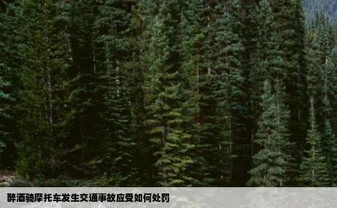 醉酒骑摩托车发生交通事故应受如何处罚