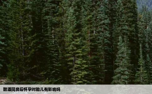 醉酒同房后怀孕对胎儿有影响吗