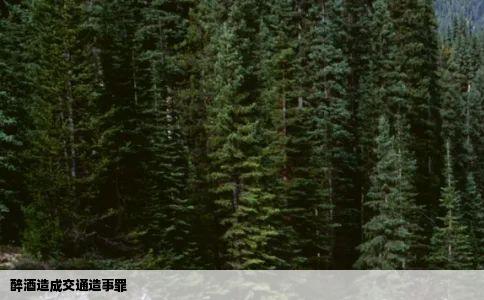 醉酒造成交通造事罪
