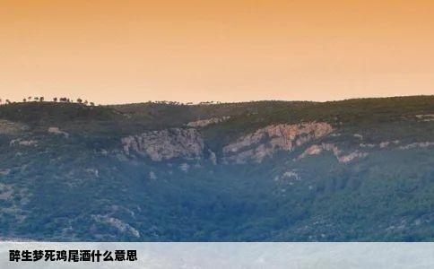 醉生梦死鸡尾酒什么意思