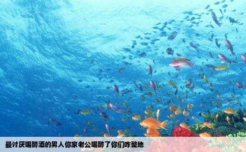 最讨厌喝醉酒的男人你家老公喝醉了你们咋整地