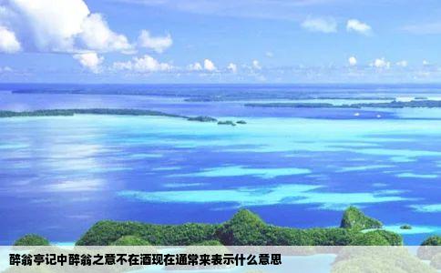 醉翁亭记中醉翁之意不在酒现在通常来表示什么意思