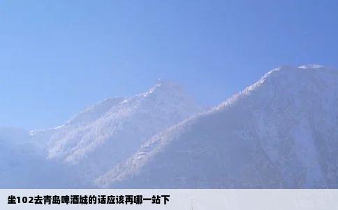 坐102去青岛啤酒城的话应该再哪一站下