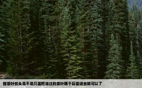 做茶叶枕头是不是只需把泡过的茶叶晒干后装进去就可以了