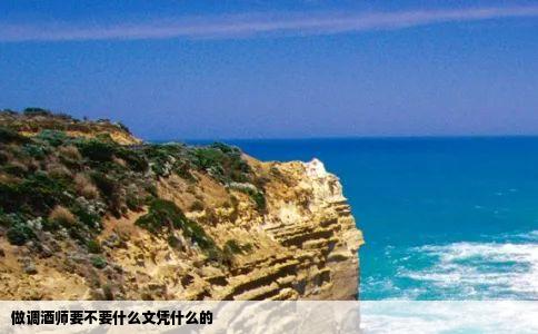 做调酒师要不要什么文凭什么的