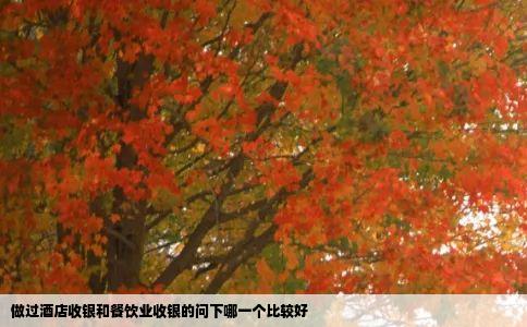 做过酒店收银和餐饮业收银的问下哪一个比较好