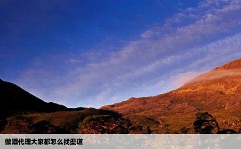 做酒代理大家都怎么找渠道