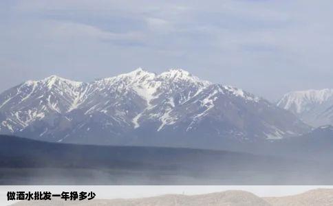 做酒水批发一年挣多少