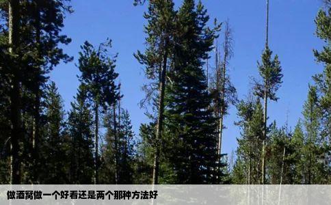 做酒窝做一个好看还是两个那种方法好