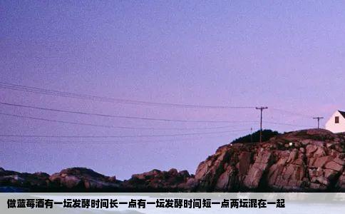 做蓝莓酒有一坛发酵时间长一点有一坛发酵时间短一点两坛混在一起