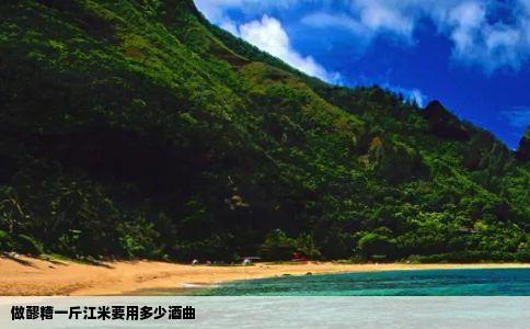 做醪糟一斤江米要用多少酒曲