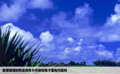做葡萄酒时把皮和肉分开放在瓶子里有问题吗