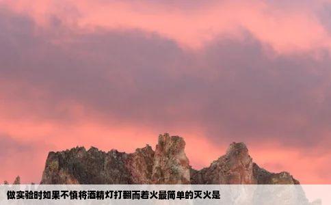 做实验时如果不慎将酒精灯打翻而着火最简单的灭火是