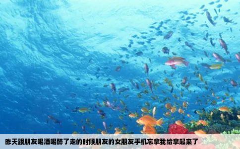 昨天跟朋友喝酒喝醉了走的时候朋友的女朋友手机忘拿我给拿起来了