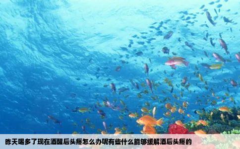 昨天喝多了现在酒醒后头疼怎么办呢有些什么能够缓解酒后头疼的